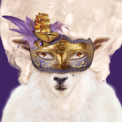 A NIGHT AT THE OPERA?